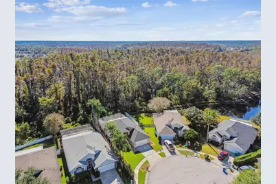 29228 Birds Eye Drive, Wesley Chapel, FL 33543 - Photo 50