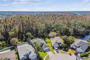 29228 Birds Eye Dr, Wesley Chapel, FL 33543 - Photo 50