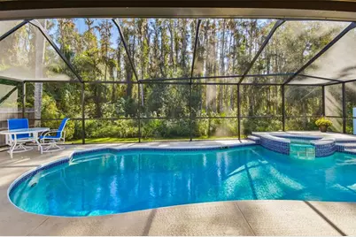 29228 Birds Eye Drive, Wesley Chapel, FL 33543 - Photo 42