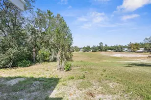 10221 Elgin Blvd, Spring Hill, FL 34608 - Photo 32