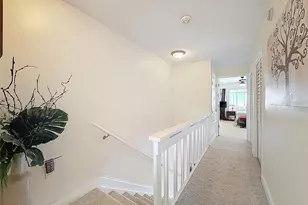 433 S Paula Dr, Dunedin, FL 34698 - Photo 26