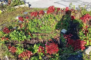 1440 SE 23rd Ave, Gainesville, FL 32641 - Photo 36