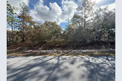 220 Linder Drive, Homosassa, FL 34446 - Photo 2