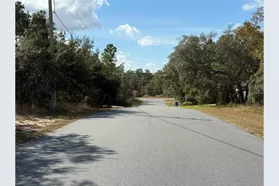 220 Linder Drive, Homosassa, FL 34446 - Photo 4