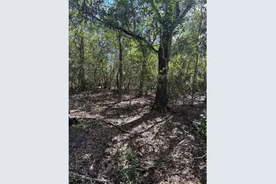 7740 E Smoke Trail, Inverness, FL 34453 - Photo 4