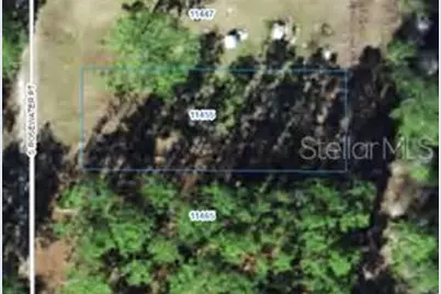 11455 S Rosewater Point, Homosassa, FL 34446 - Photo 2