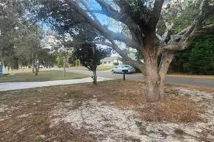 3047 Fisher Ave, Spring Hill, FL 34609 - Photo 72