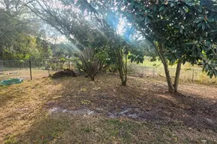 3047 Fisher Ave, Spring Hill, FL 34609 - Photo 52