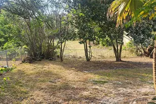 3047 Fisher Ave, Spring Hill, FL 34609 - Photo 48