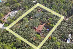 11185 Cleever St, Weeki Wachee, FL 34614 - Photo 58