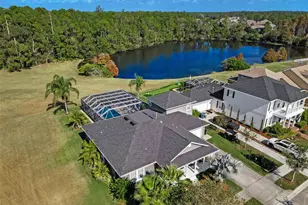 10101 Mizner St, New Port Richey, FL 34655 - Photo 28