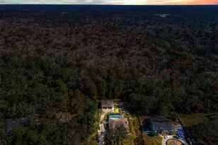 10639 Lakeview Dr, New Port Richey, FL 34654 - Photo 2