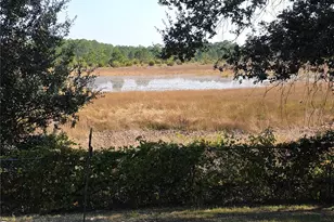 6345 Piedmont Dr, Spring Hill, FL 34606 - Photo 34