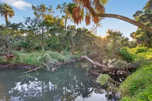 6345 Lost Trail, Holiday, FL 34690 - Photo 2
