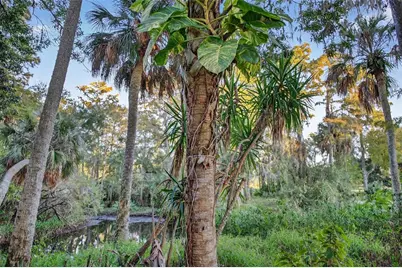 6350 Lost Trail, Holiday, FL 34690 - Photo 28