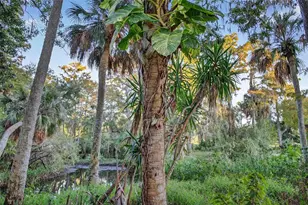 6350 Lost Trail, Holiday, FL 34690 - Photo 28