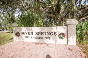 3275 Lori Ln, New Port Richey, FL 34655 - Photo 38