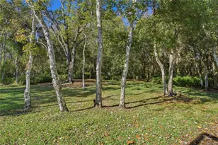 1320 Lindenwood Dr, Tarpon Springs, FL 34688 - Photo 40