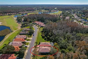 1320 Lindenwood Dr, Tarpon Springs, FL 34688 - Photo 48