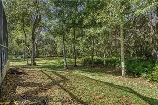 1320 Lindenwood Dr, Tarpon Springs, FL 34688 - Photo 38