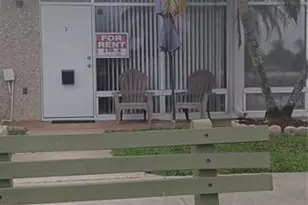 4354 Tahitian Gardens Cir, Holiday, FL 34691 - Photo 2