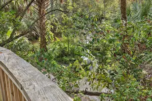 6115 Apple Snail Ave, New Port Richey, FL 34653 - Photo 58