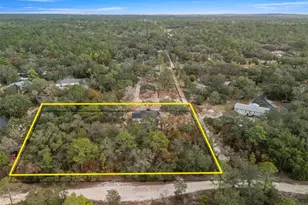 14235 Hurricane Dr, Weeki Wachee, FL 34614 - Photo 48