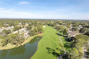 7099 Pond View Ct, Spring Hill, FL 34606 - Photo 62