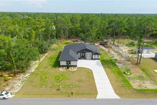 10380 Yellow Hammer Rd, Weeki Wachee, FL 34614 - Photo 48