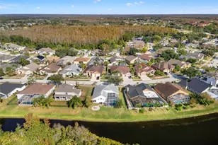 18118 Sweet Jasmine Dr, Tampa, FL 33647 - Photo 8