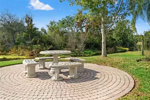 18118 Sweet Jasmine Dr, Tampa, FL 33647 - Photo 60