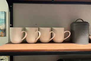 1983 Abrico Dr, Lutz, FL 33558 - Photo 28