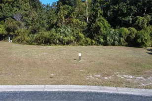 Forest Glenn Dr, Spring Hill, FL 34607 - Photo 1