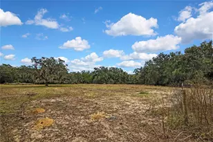 28470 Soaring Hawk Ln, Brooksville, FL 34602 - Photo 2