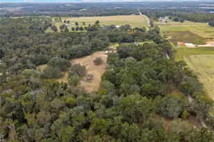 28470 Soaring Hawk Ln, Brooksville, FL 34602 - Photo 36