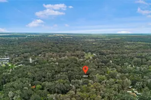 3617 Cr 406, Lake Panasoffkee, FL 33538 - Photo 32