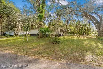 3617 Cr 406, Lake Panasoffkee, FL 33538 - Photo 4