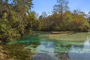 7268 Crystal Spring Run, Weeki Wachee, FL 34607 - Photo 98