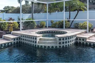 1170 Falcon Ridge Lane, Palm Harbor, FL 34683 - Photo 26