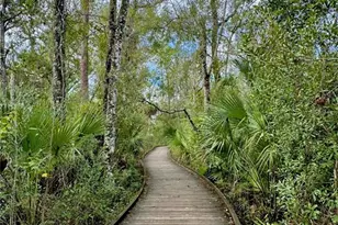 17218 Balance Cv, Land O Lakes, FL 34638 - Photo 52