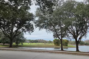 4217 Fishermans Lake Dr, Lutz, FL 33558 - Photo 10