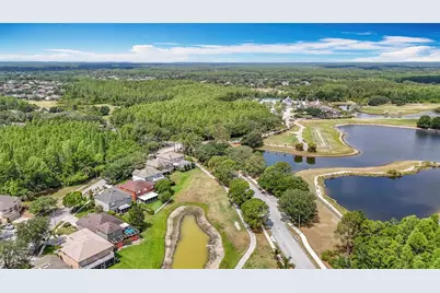 4217 Fishermans Lake Drive, Lutz, FL 33558 - Photo 44