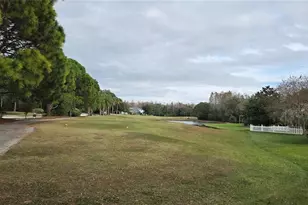 4217 Fishermans Lake Dr, Lutz, FL 33558 - Photo 8