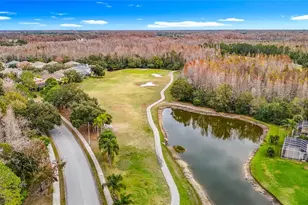 4217 Fishermans Lake Dr, Lutz, FL 33558 - Photo 72