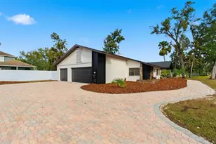 916 River Rapids Ave, Brandon, FL 33511 - Photo 4