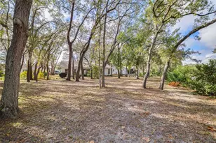 8619 Gold Pine Dr, Port Richey, FL 34668 - Photo 34