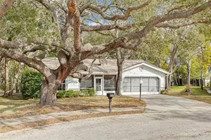 8619 Gold Pine Dr, Port Richey, FL 34668 - Photo 4