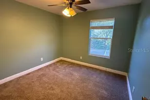 3914 Roswell Pl, Land O Lakes, FL 34639 - Photo 14