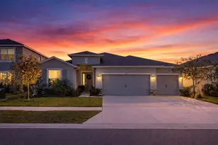7629 Broad River Ave, Land O Lakes, FL 34638 - Photo 1