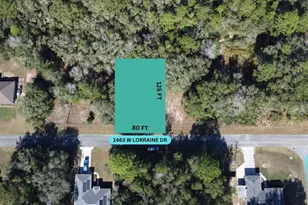 1463 W Lorraine Dr, Citrus Springs, FL 34434 - Photo 1